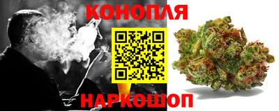 ПСИЛОЦИБИНОВЫЕ ГРИБЫ Камышлов