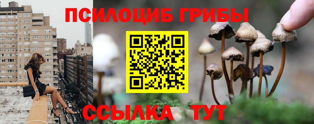 Псилоцибиновые грибы Psilocybe  Псилоцибиновые грибы Psilocybe  Кувандык  Вход с VPN 